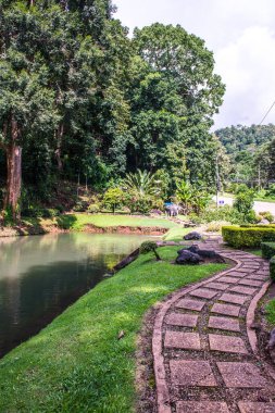 Tayland, Samoeng bölgesinde halka açık bir park..