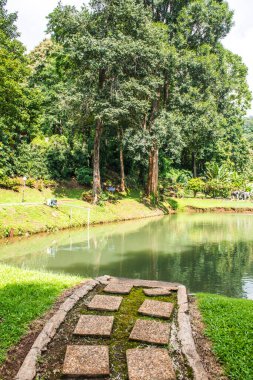 Tayland, Samoeng bölgesinde halka açık bir park..