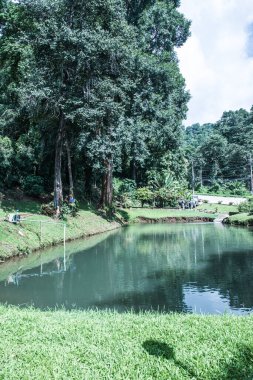 Tayland, Samoeng bölgesinde halka açık bir park..