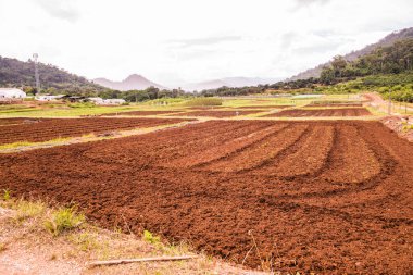Tayland, Tayland 'da tarım alanı.