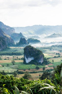 Phu Langka Ulusal Parkı, Tayland Güzel Dağ Manzarası.