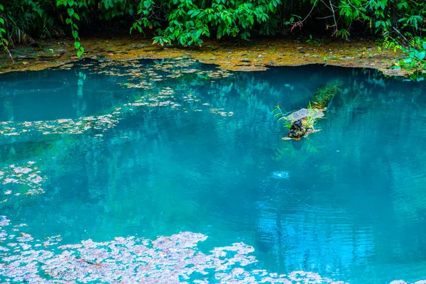 Warm Pond Phu Sang National Park Thailand — Stock Photo, Image