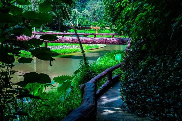 Landscape View Phu Sang National Park Thailand — стокове фото