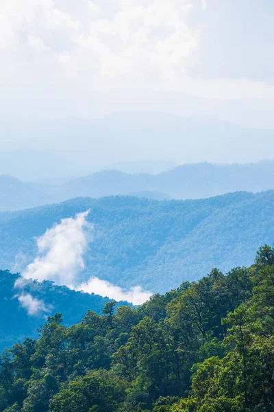 Las Tropikalny Mgłą Tajlandii Tajlandia — Zdjęcie stockowe