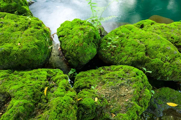 Mossy Βράχους Πράσινο Φόντο Νερό Chiang Mai Επαρχία — Φωτογραφία Αρχείου
