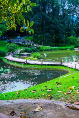 Doğal parkın manzarası, Tayland.