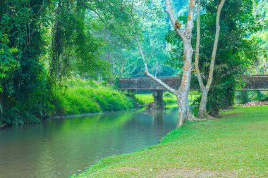 Phu Sang Ulusal Parkı, Tayland manzarası.