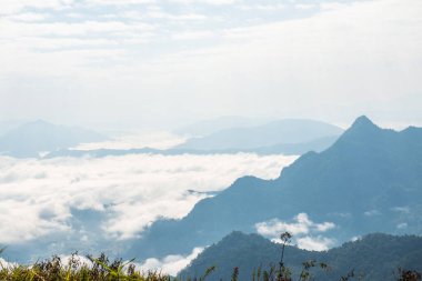 Chiangrai Eyaleti, Tayland 'daki Phu Chi Fa Manzara Noktasında Sis Denizi.