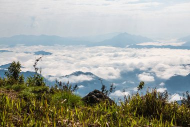 Chiangrai Eyaleti, Tayland 'daki Phu Chi Fa Manzara Noktasında Sis Denizi.