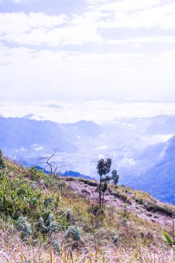 Chiangrai Eyaleti, Tayland Phu Chi Fa Manzara Noktası.