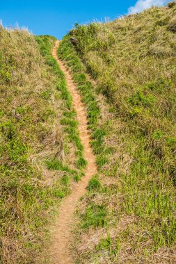 Chiangrai Eyaleti, Tayland Phu Chi Fa Manzara Noktası.