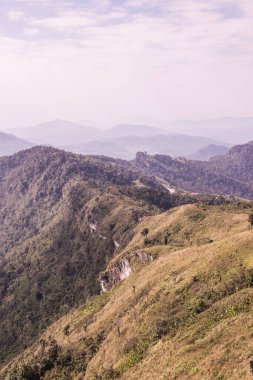 Tayland 'ın Chiangrai eyaletindeki Phu Chi Fa Manzarası' nda Dağ Manzarası.