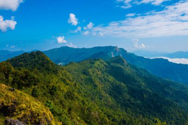 Tayland 'ın Chiangrai eyaletindeki Phu Chi Fa Manzarası' nda Dağ Manzarası.