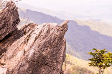 Chiangrai, Tayland 'da Doi Pha Tang' da Manzara Noktası.