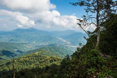 Tayland 'ın Chiangrai eyaletindeki Doi Pha Tang' da Dağ Manzarası.