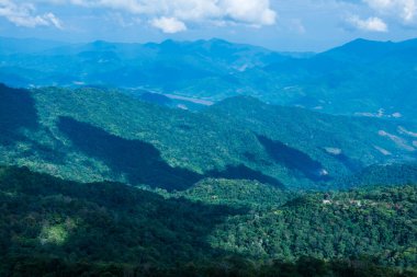 Tayland 'ın Chiangrai eyaletindeki Doi Pha Tang' da Dağ Manzarası.
