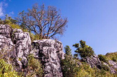 Chiangrai, Tayland 'da Doi Pha Tang' da Manzara Noktası.