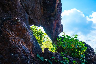 Chiangrai, Tayland 'da Doi Pha Tang' da Manzara Noktası.