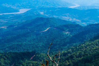 Tayland 'ın Chiangrai eyaletindeki Doi Pha Tang' da Dağ Manzarası.