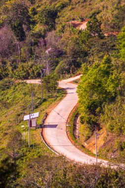 Chiangrai, Tayland 'da Doi Pha Tang yolu..