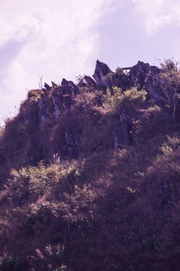 Tayland 'ın Chiangrai eyaletindeki Doi Pha Tang' da Dağ Manzarası.