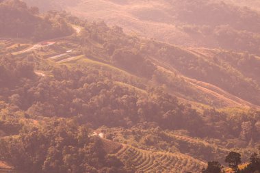 Tayland 'ın Chiangrai eyaletindeki Doi Pha Tang' da Dağ Manzarası.