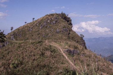 Tayland 'ın Chiangrai eyaletindeki Doi Pha Tang' da Dağ Manzarası.