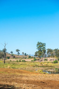 Tayland 'ın Chiangmai eyaletinde Moiuntain manzarası.