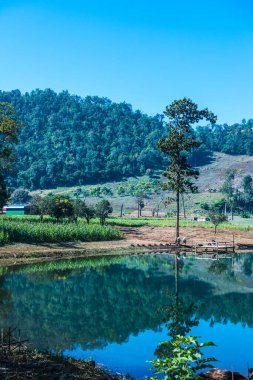 Tayland 'ın Chiangmai eyaletinde göl manzarası.