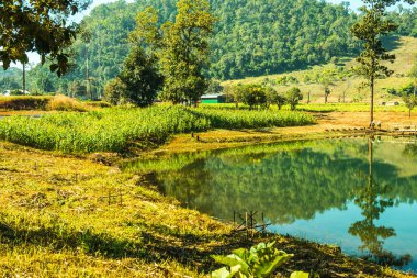 Tayland 'ın Chiangmai eyaletinde göl manzarası.