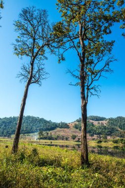 Tayland 'ın Chiangmai eyaletinde Moiuntain manzarası.