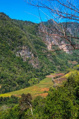 Tayland 'ın Chiangmai bölgesindeki dağların görüş açısı.