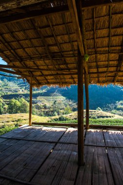 Çay Çiftliği 2000 Tayland 'da dağ manzaralı küçük bir huzurevi..