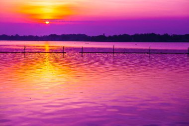 Sabah Kwan Phayao Gölü, Tayland.