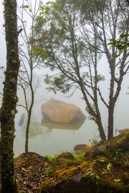 Tayland 'da sisli göl manzarası.