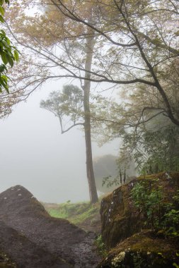 Tayland 'da sisli göl manzarası.
