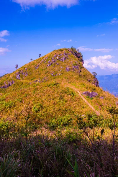 Mountain View Doi Pha Tang Chiangrai Province Thajsko — Stock fotografie
