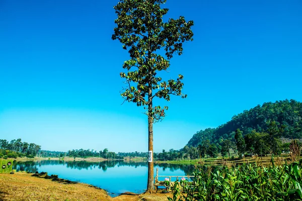 Вид Озеро Провинции Чиангмай Таиланд — стоковое фото