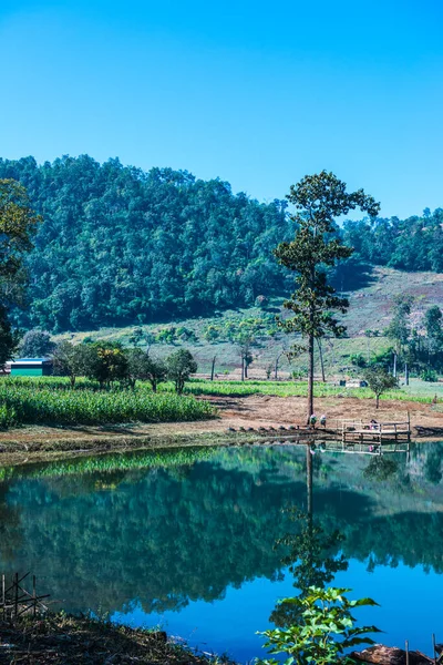 Vista Lago Provincia Chiangmai Tailandia — Foto de Stock
