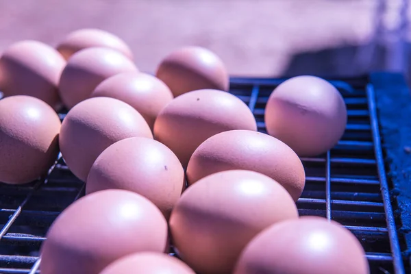 Huevos Brasa Estilo Tailandés Tailandia —  Fotos de Stock