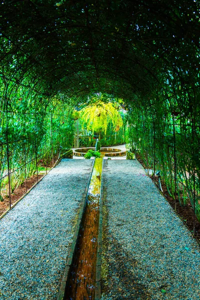 Modern Trädgård Thai Thailand — Stockfoto
