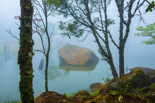 大雾湖景 — 图库照片