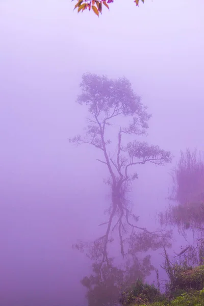 Θέα Στη Λίμνη Ομίχλη Στην Ταϊλάνδη Ταϊλάνδη — Φωτογραφία Αρχείου