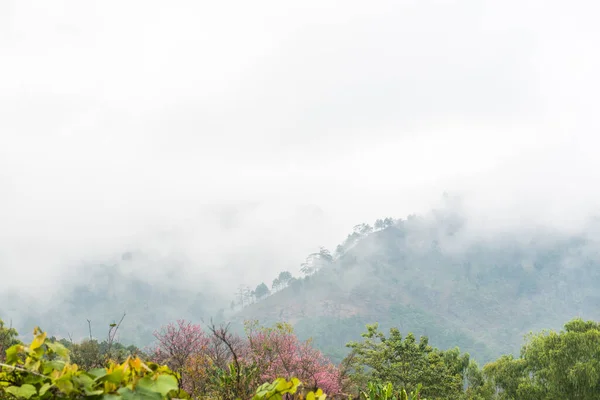 stock image Mountain view in Thai, Thailand.