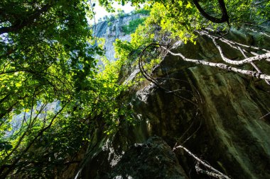 Cliff in tourist attraction of Phratupha rock painting, Lampang province.