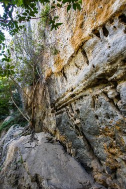 Cliff in tourist attraction of Phratupha rock painting, Lampang province.