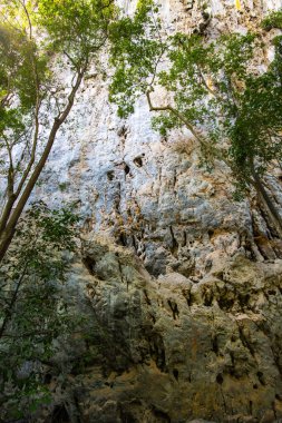 Texture of ancient rock in Phratupha rock painting, Lampang province.