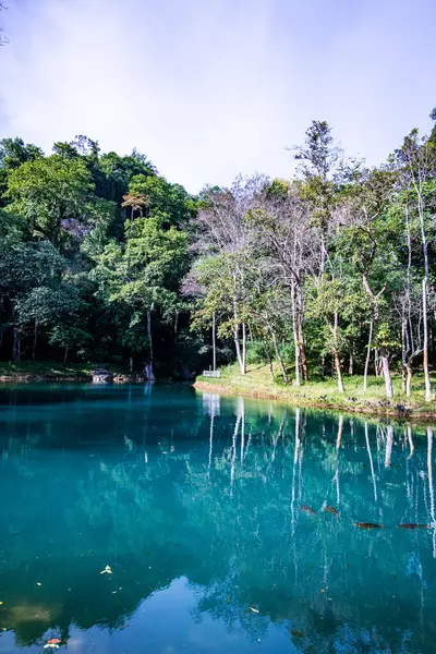 Emerald Pool Tham Luang Khun Nam Nang Non Forest Park — ストック写真