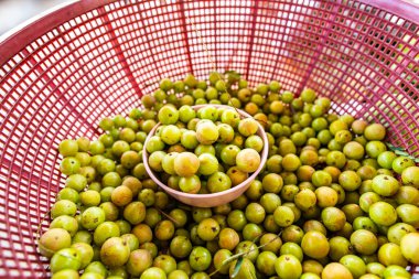 Emblica fruit in the basket, Thailand.