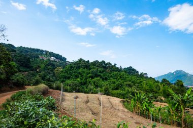 Pha Hi village on the mountain, Chiang Rai province.